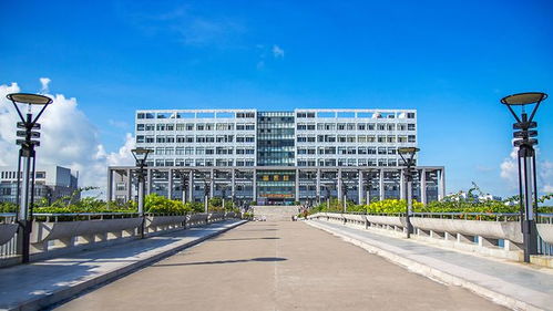 機(jī)會(huì)更大 這10所3 院校招生計(jì)劃最多 全是公辦